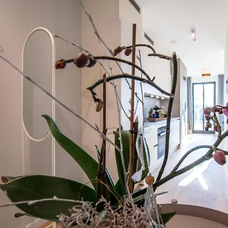 Sonnenschein Im Ostseebad Lägenhet