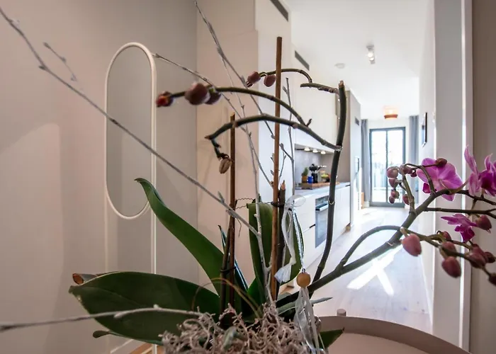 Sonnenschein Im Ostseebad Apartment